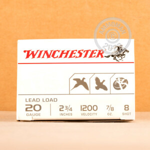 Image of the 20 GAUGE WINCHESTER USA GAME & TARGET 2-3/4" 7/8 OZ. #8 SHOT (100 ROUNDS) available at AmmoMan.com.