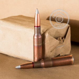 Photograph showing detail of 7.62X54R RUSSIAN SURPLUS 149 GRAIN FMJ SILVER TIP (20 ROUNDS)