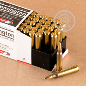 A photograph detailing the 223 Remington ammo with FMJ bullets made by Aguila.