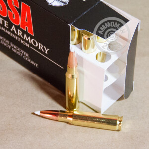 Image detailing the brass case on the Silver State Armory ammunition.