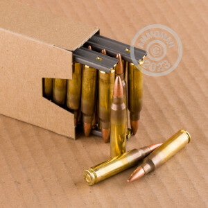 Image detailing the brass case and boxer primers on 420 rounds of Winchester ammunition.