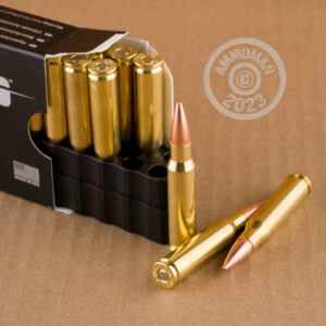 Image of 308 / 7.62x51 rifle ammunition at AmmoMan.com.
