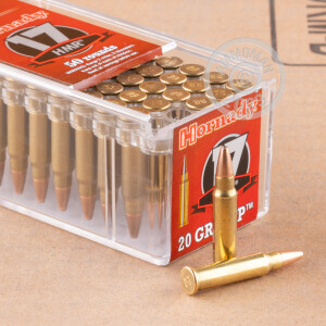 Image of the 17 HMR HORNADY VARMINT EXPRESS 20 GRAIN HP XTP (50 ROUNDS) available at AmmoMan.com.