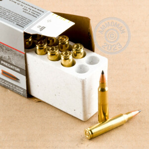 A photograph detailing the 223 Remington ammo with Polymer Tipped bullets made by Winchester.
