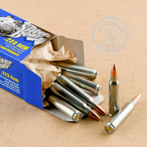 Image of 223 Remington ammo by Silver Bear that's ideal for home protection, training at the range.