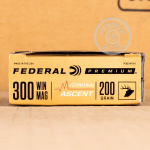 Photograph showing detail of 300 WIN MAG FEDERAL 200 GRAIN TERMINAL ASCENT (20 ROUNDS)
