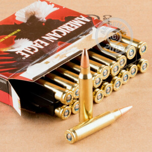 A photograph detailing the 223 Remington ammo with TMJ bullets made by Federal.