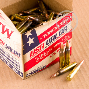 Image detailing the brass case and boxer primers on 125 rounds of Winchester ammunition.