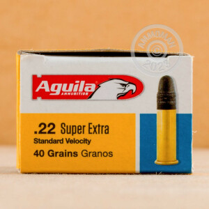 Photograph of .22 Long Rifle ammo with Lead Round Nose (LRN) ideal for hunting varmint sized game, training at the range.