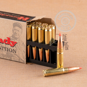Image of 300 AAC Blackout ammo by Hornady that's ideal for hunting wild pigs, whitetail hunting.