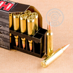 Image of 223 Remington ammo by Hornady that's ideal for training at the range.