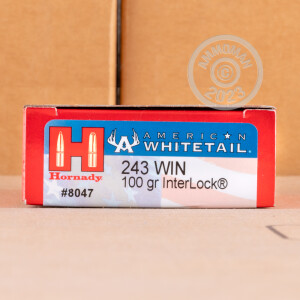 Image of the 243 WIN HORNADY AMERICAN WHITETAIL 100 GRAIN SP (20 ROUNDS) available at AmmoMan.com.
