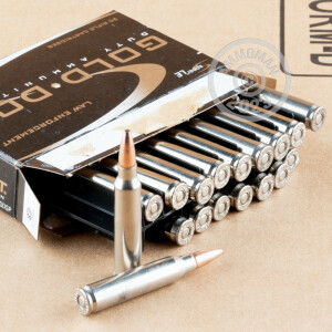 Image of 223 Remington ammo by Speer that's ideal for home protection.