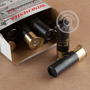  BB shotgun rounds for sale at AmmoMan.com - 100 rounds.