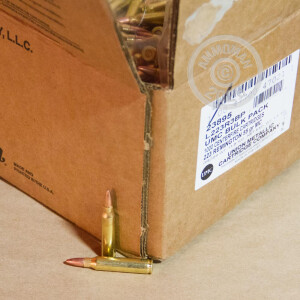 Image detailing the brass case on the Remington ammunition.