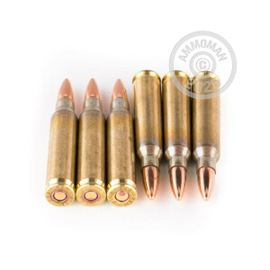 Image of 223 Remington ammo by Wolf that's ideal for training at the range.