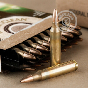 Photograph showing detail of 5.56X45MM FEDERAL PREMIUM BALLISTICLEAN 43 GRAIN OTM (20 ROUNDS)