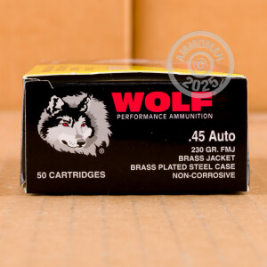 Image of the 45 ACP WOLF 230 GRAIN FMJ (500 ROUNDS) ***STEEL CASES*** available at AmmoMan.com.