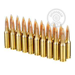 Image of 6mm ARC ammo by Hornady that's ideal for training at the range.