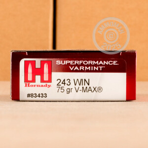 Image of 243 WIN HORNADY SUPERFORMANCE VARMINT 75 GRAIN PT (20 ROUNDS)