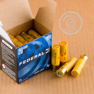 Photograph showing detail of 20 GAUGE FEDERAL GAME-SHOK 2-3/4" 7/8 OZ. #8 SHOT (250 ROUNDS)