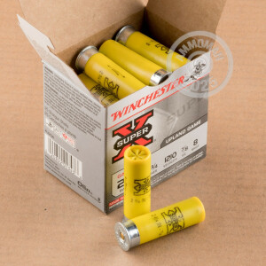 Photo detailing the 20 GAUGE WINCHESTER SUPER-X 2-3/4" 7/8 OZ. #8 SHOT (250 ROUNDS) for sale at AmmoMan.com.