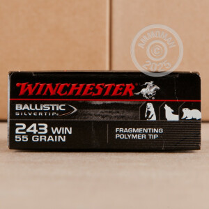 Photo detailing the 243 WIN WINCHESTER BALLISTIC SILVERTIP 55 GRAIN POLYMER TIP (20 ROUNDS) for sale at AmmoMan.com.