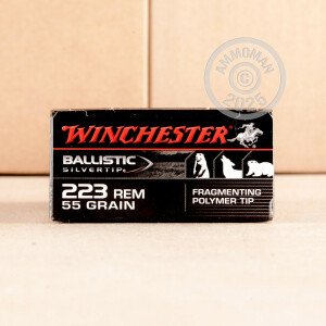 Image of 223 REM WINCHESTER BALLISTIC SILVERTIP 55 GRAIN POLYMER TIP (20 ROUNDS)