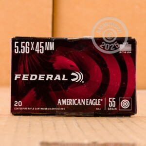 Image detailing the brass case on the Federal ammunition.