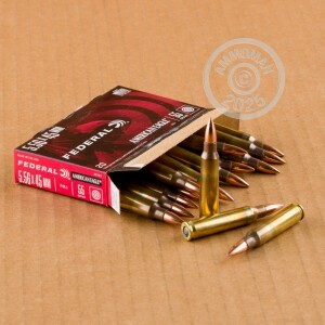 A photograph detailing the 5.56x45mm ammo with Full Metal Jacket (FMJ) bullets made by Federal.