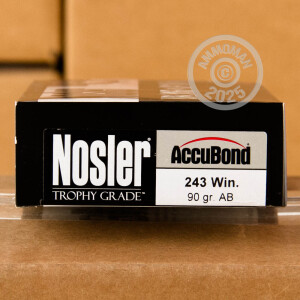 A photo of a box of Nosler Ammunition ammo in 243 Winchester.