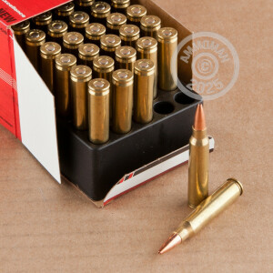 Photograph showing detail of 223 REM BLACK HILLS 62 GRAIN TSX (50 ROUNDS)