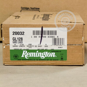 Photograph of Remington 12 Gauge #8 shot for sale at AmmoMan.com