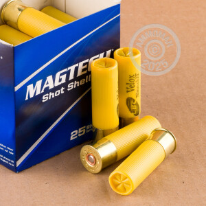 Photograph showing detail of 20 GAUGE MAGTECH 2-3/4" 13/16 OZ. F SHOT (250 ROUNDS)