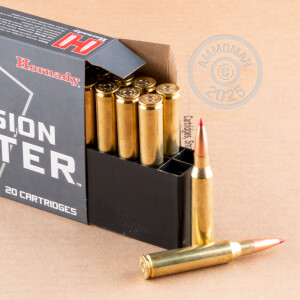 Image detailing the brass case on the Hornady ammunition.