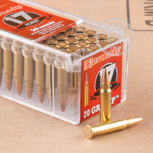 Photograph showing detail of 17 HMR HORNADY VARMINT EXPRESS 20 GRAIN HP XTP (500 ROUNDS)