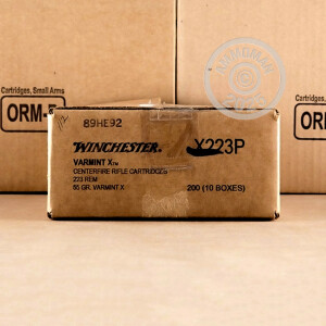 Image of 223 Remington ammo by Winchester that's ideal for hunting varmint sized game.