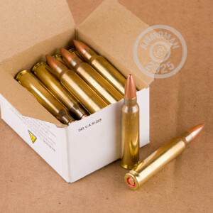 Photo detailing the 5.56X45 PRVI PARTIZAN 55 GRAIN FMJBT M193 (1000 ROUNDS IN AMMO CAN) for sale at AmmoMan.com.