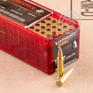 Image of 17 HMR WINCHESTER VARMINT 17 GRAIN V-MAX (1000 ROUNDS)