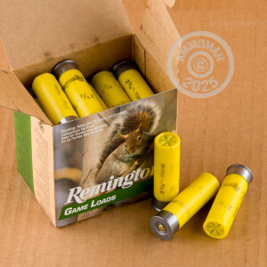 Photograph showing detail of 20 GAUGE REMINGTON GAME LOADS 2-3/4" 7/8 OZ. #6 SHOT (250 ROUNDS)