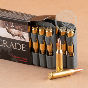 Image of 243 Winchester ammo by Nosler Ammunition that's ideal for hunting wild pigs, whitetail hunting.