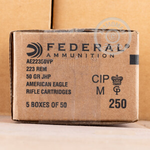 Image of Federal 223 Remington rifle ammunition.