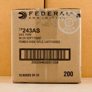 Photograph showing detail of 243 WIN. FEDERAL POWER SHOK 80 GRAIN SP AMMO 20 ROUNDS