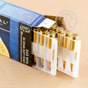 Image of the 243 WIN. FEDERAL POWER SHOK 80 GRAIN SP AMMO 20 ROUNDS available at AmmoMan.com.