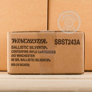 Photo detailing the 243 WIN 95 GRAIN WINCHESTER BALLISTIC SILVERTIP (20 ROUNDS) for sale at AmmoMan.com.
