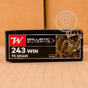 Image of the 243 WIN 95 GRAIN WINCHESTER BALLISTIC SILVERTIP (20 ROUNDS) available at AmmoMan.com.