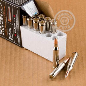 Image of 243 WIN 95 GRAIN WINCHESTER BALLISTIC SILVERTIP (20 ROUNDS)