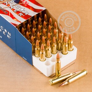 Image of Hornady 223 Remington rifle ammunition.