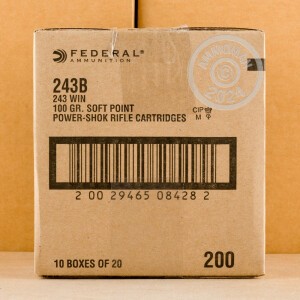 Photograph showing detail of 243 WIN FEDERAL POWER-SHOK 100 GRAIN SP (20 ROUNDS)