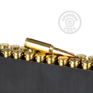 Image detailing the brass case on the Hornady ammunition.
